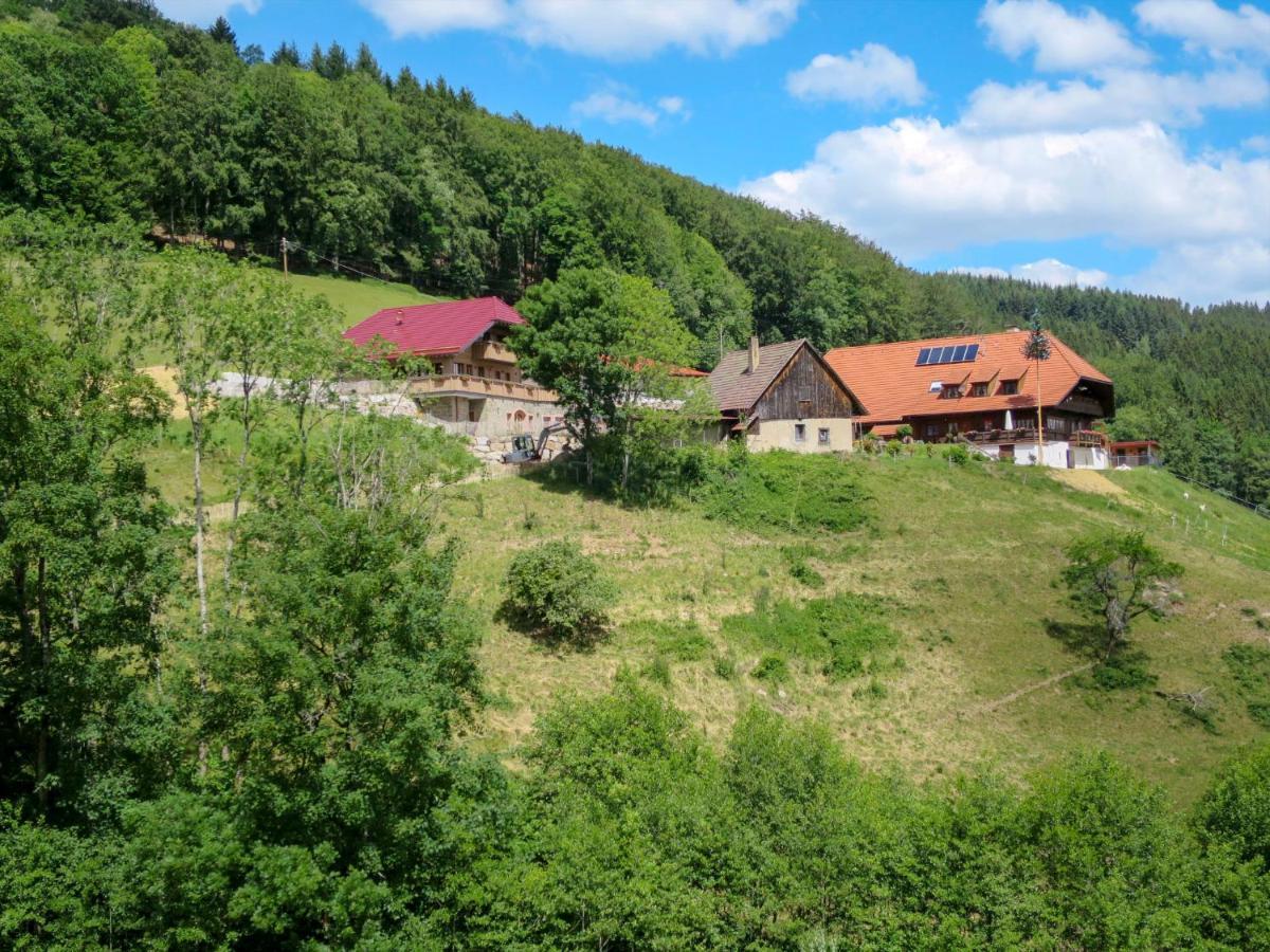 Apartment Schmalzenhof By Interhome Hofstetten  Екстер'єр фото